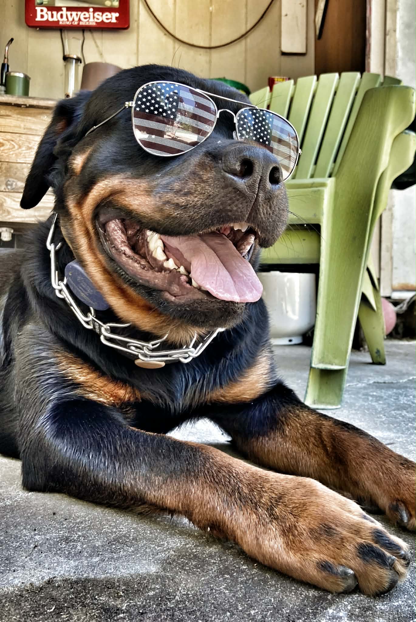 Jazzy the dog smiling outdoors in Grants Pass Oregon - Pig-O-Latte’s mascot and beloved shop companion