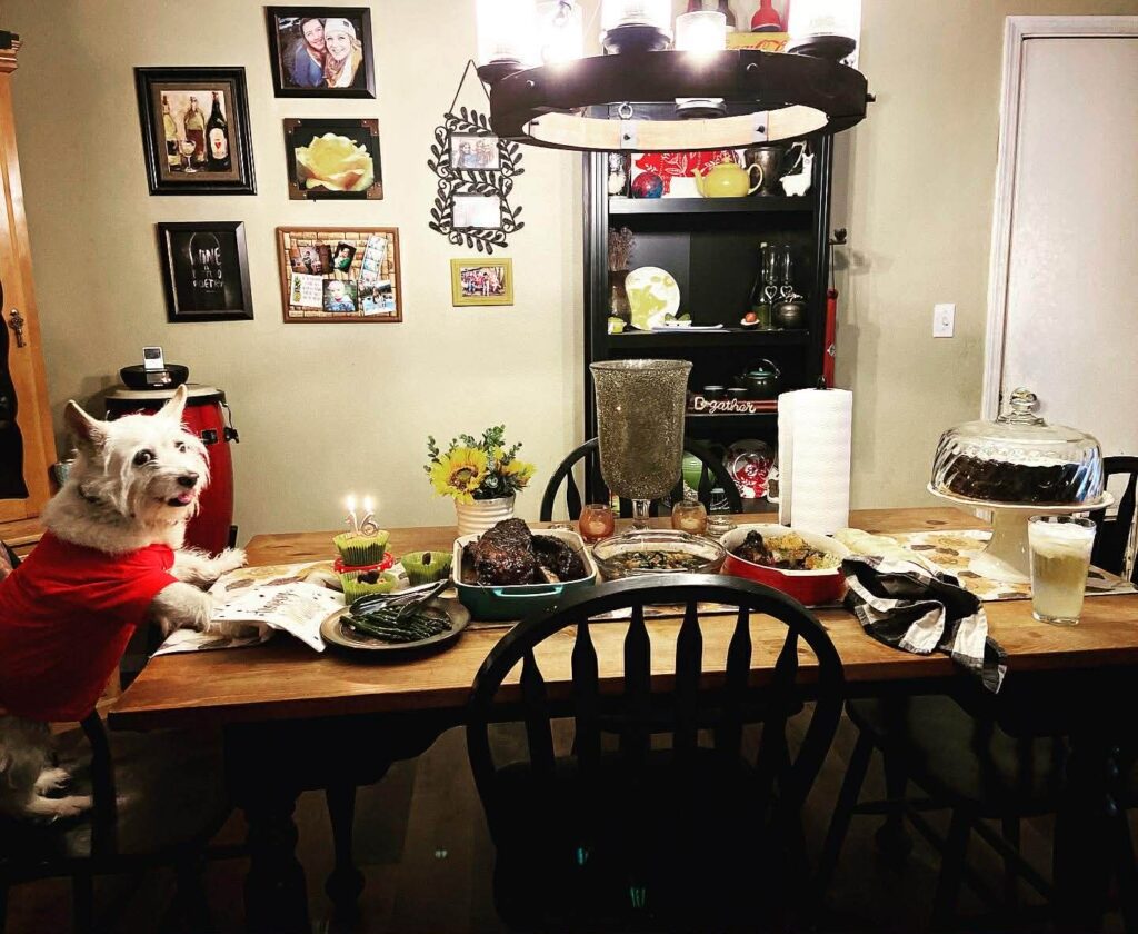 Dog Birthday setup with food and drinks at Pig O Latte’s